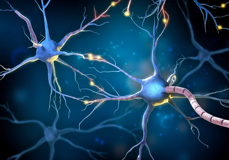 brain neurons closeup ketamine assisted therapy history for mental health